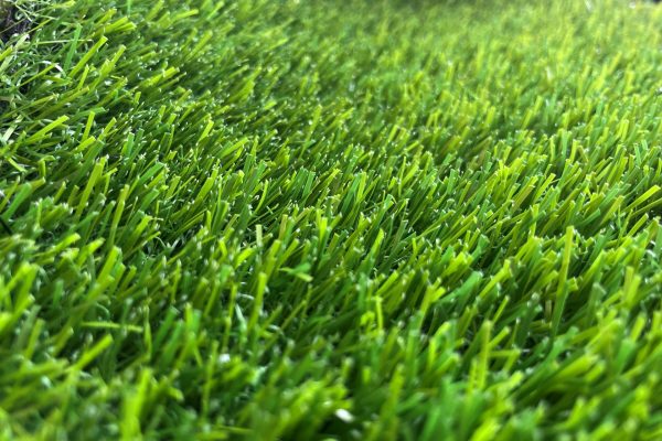 Pasto Magic 20 mm - Imagen 3