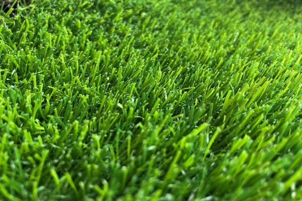 Pasto Magic 20 mm