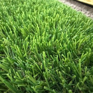 Pasto Olimpo 20 mm