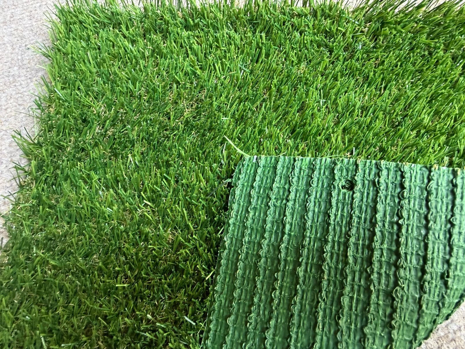 Pasto Olimpo 20 mm - Imagen 4