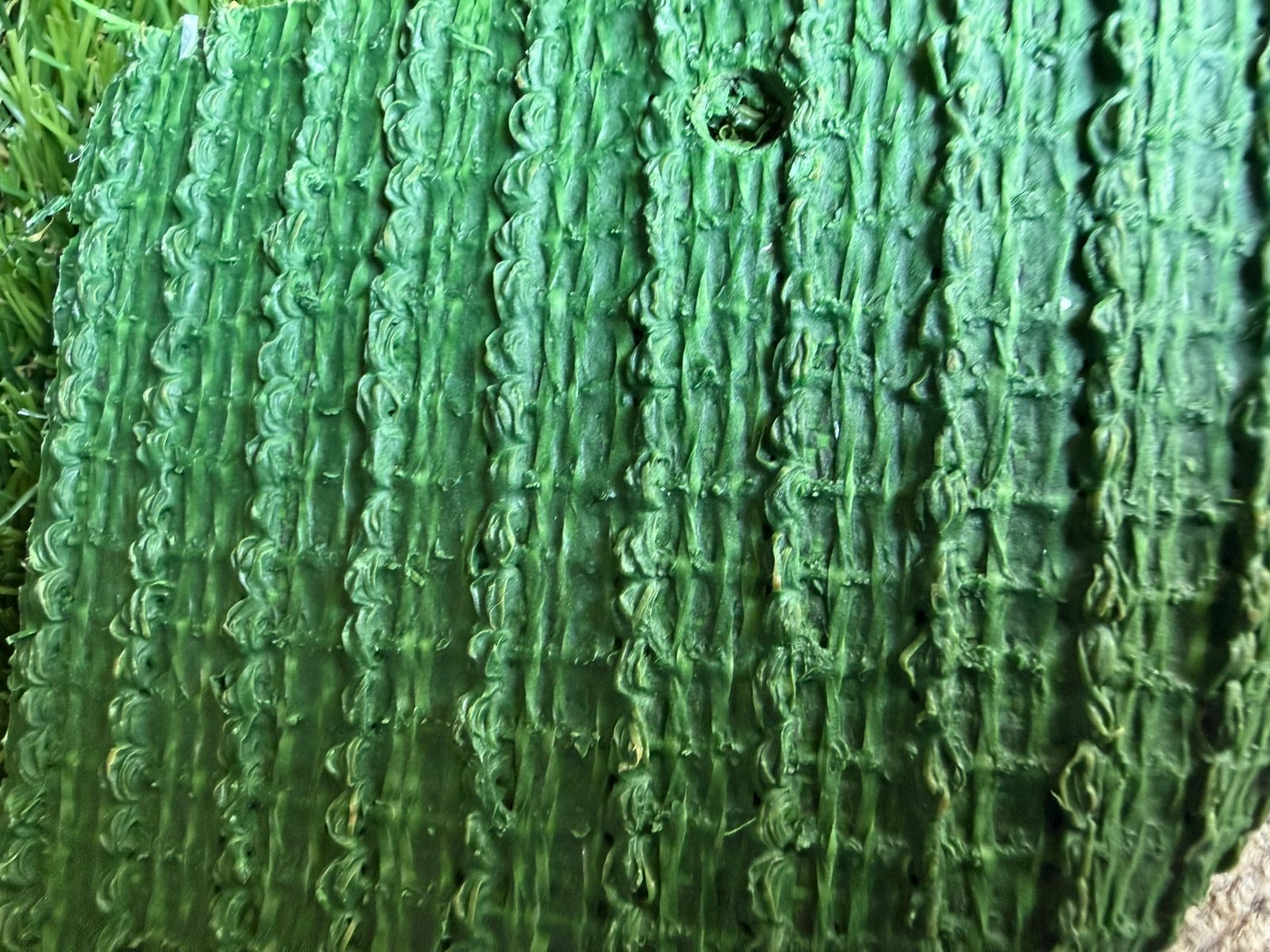 Pasto Olimpo 20 mm - Imagen 5